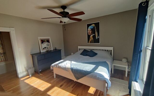 At Home in Oak Park