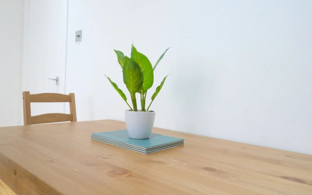 Comfortable Apartment in West End