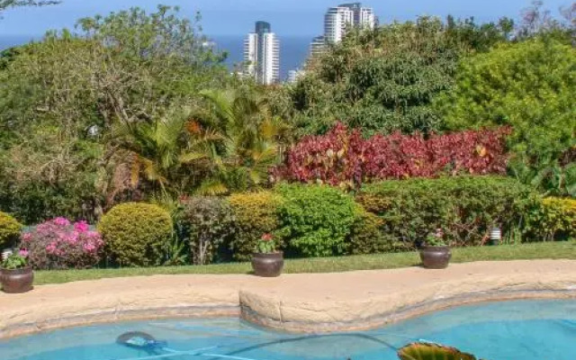 Addis Bed and Breakfast