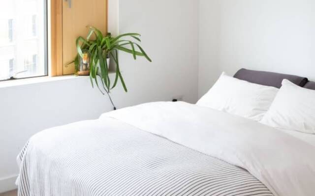 Beautiful Bohemian 2 Bedroom Flat In East London