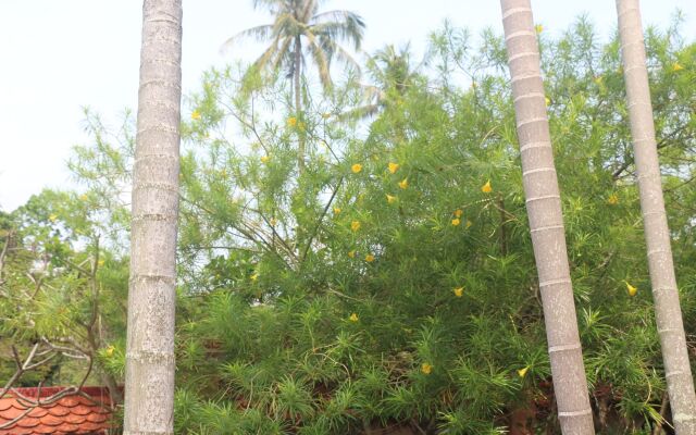 Palm House Boutique Resort