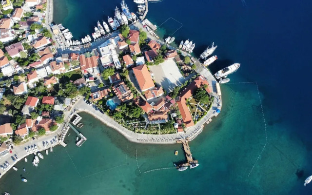 Palmetto Resort Hotel