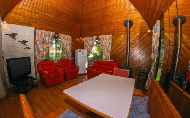 Cabañas el Dorado Pucón