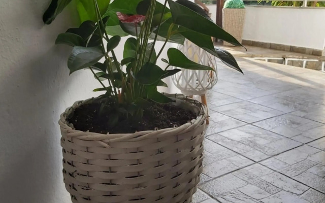 Machi Rooms