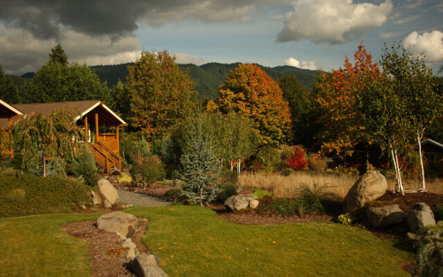 Carson Ridge Luxury Cabins