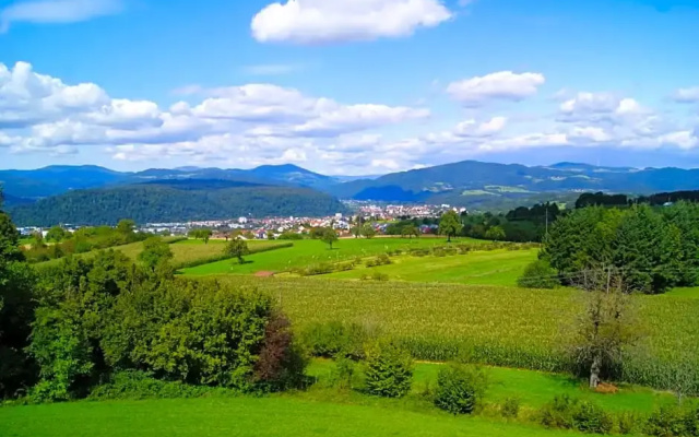Hotel Hohe Flum