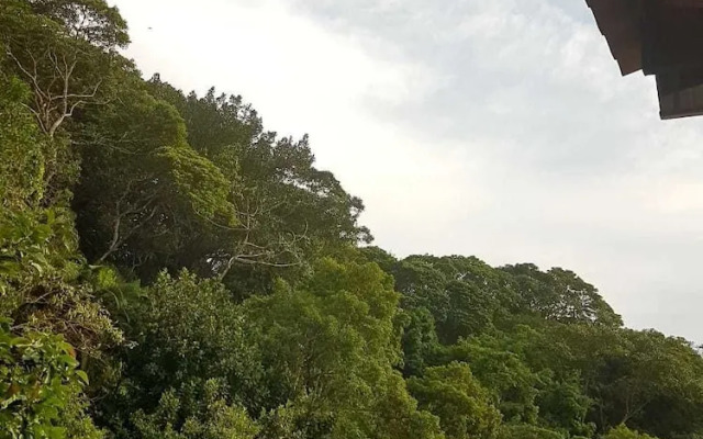 Pousada Casa no Tombo