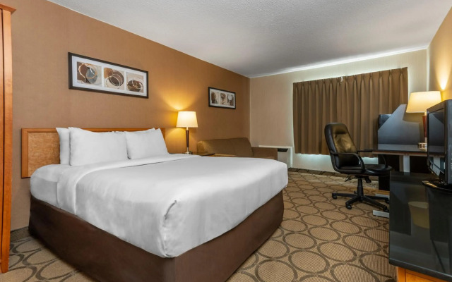 Comfort Inn Pickering