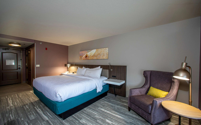 Hilton Garden Inn Rapid City