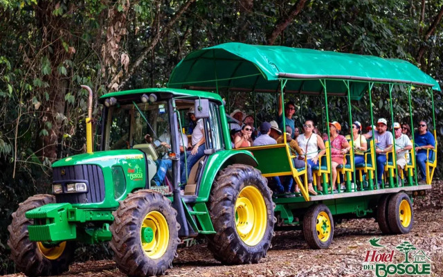 Hotel del Bosque Costa Rica