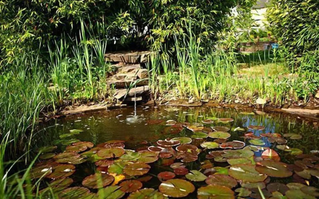 Hôtel-Restaurant DAHM