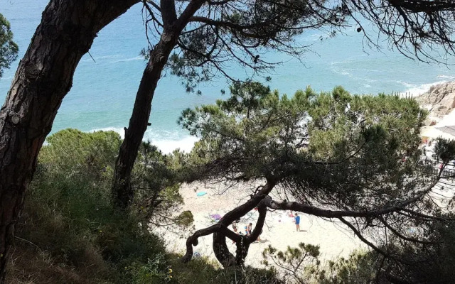 Mediterraneo Marbella