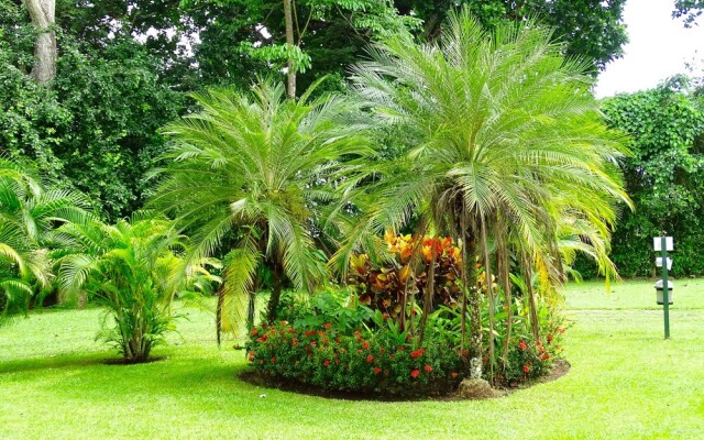Jaco Beach Apartments