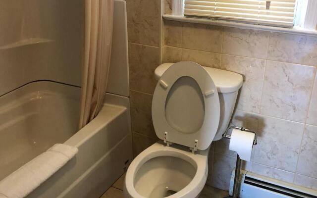 Newly Renovated 2 Bedroom House