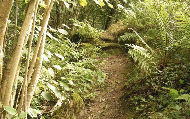 Sendero del Agua