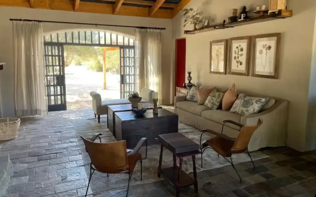 Alma Liebre Viñedos del Valle