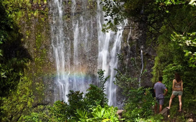 Royal Kahana 317