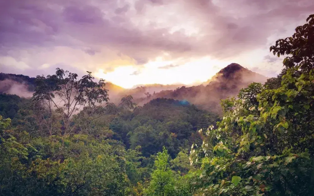Paradise Wild Hills