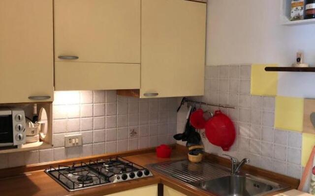 Genziana C2 interno 32