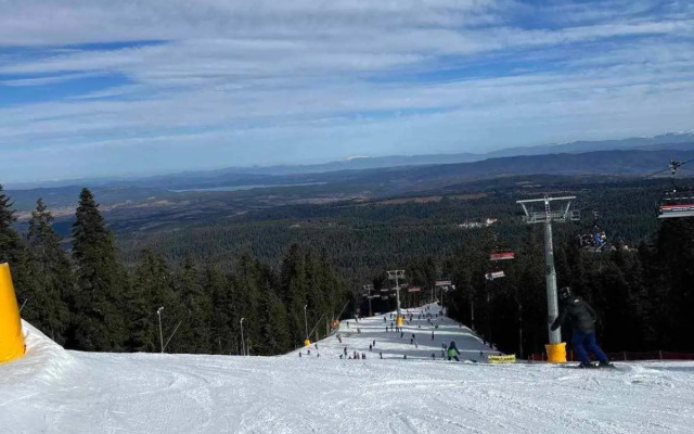 Арборо Боровец Гардънс Е 68