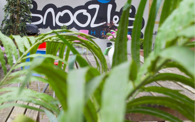 Snoozles Forster Street Tourist Hostel