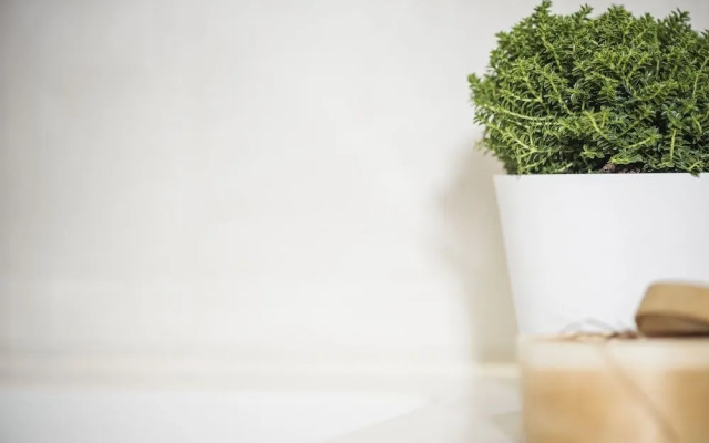 Platzhirsch Apart & Mayrhofen