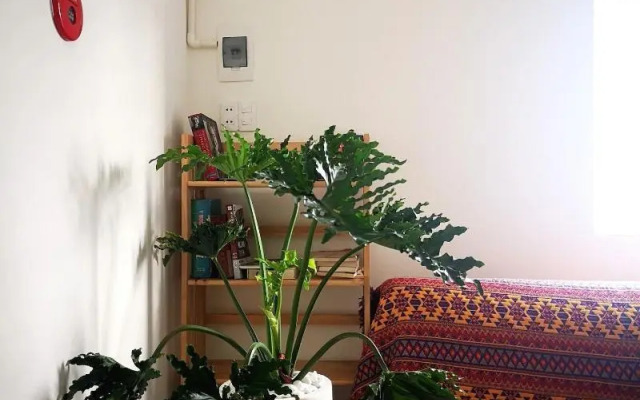 Benzen Boutique Stays Hostel and Apartment