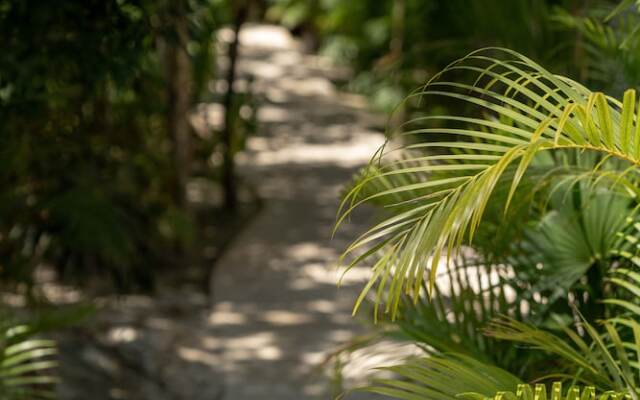 Seremonia Origen by Vida de Playa