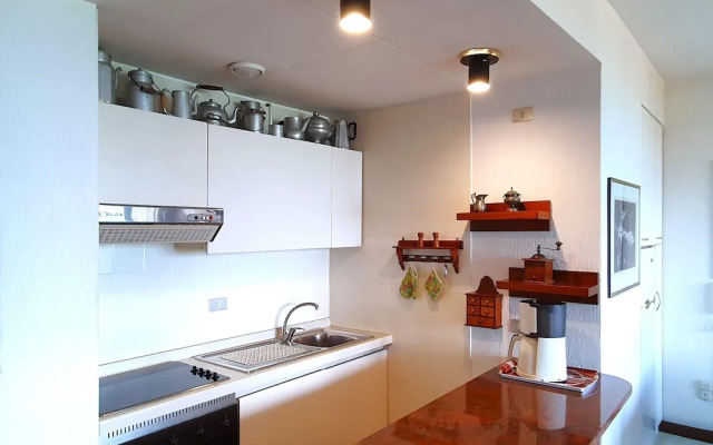 Apartment in Luino With Lake Maggiore Views