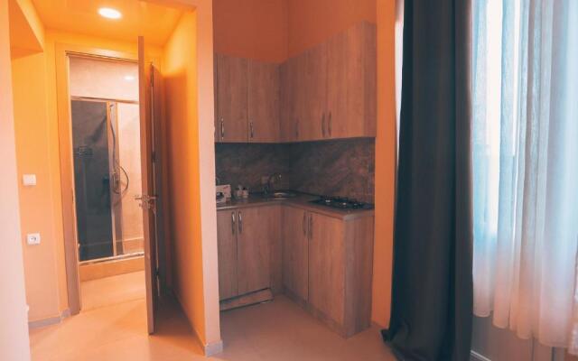 Comfortable Apartment in the center of Tbilisi