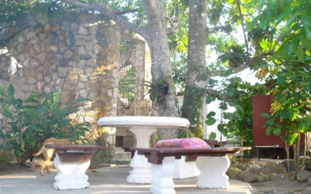 Negril Yoga Centre