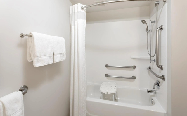 Holiday Inn Express Hotel & Suites Downtown Minneapolis by IHG