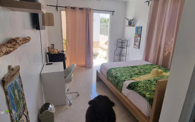 Luxury House Bungalow and apartments La Botánica Tropical