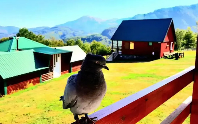 Eco Village Mojkovac