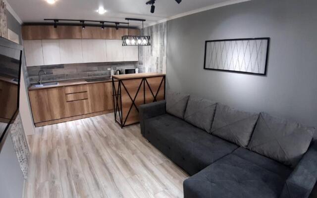 Apartment lux Tolstogo 90. Апартаменты люкс Толстого 90