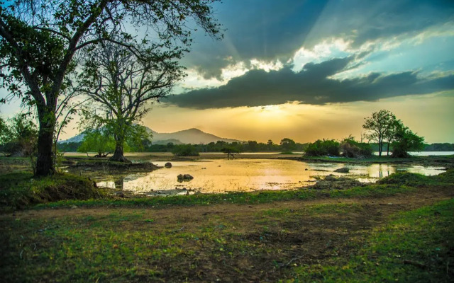 Yala Edge Camping