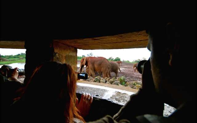 The Ark Lodge