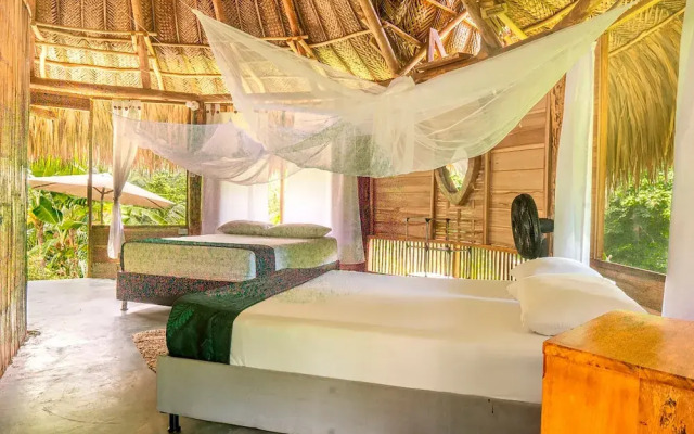 Magic Greeen Tayrona