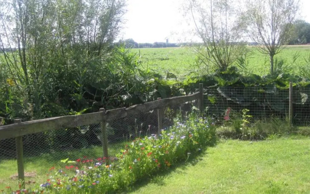 Bed & Breakfast "Gastenverblijf-FINKUM"