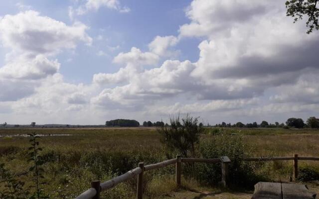 Drentse bungalow in natuur en rust