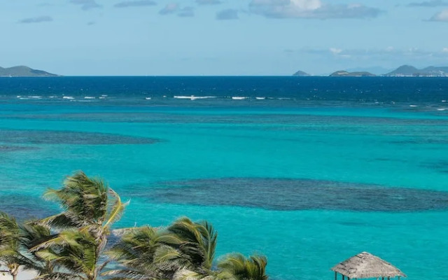 Petit St. Vincent