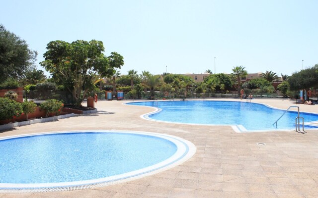 El Médano. Sotavento. Playa de La Tejita