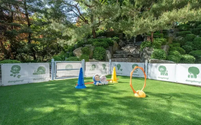 Pocheon Luxjay pet Pension