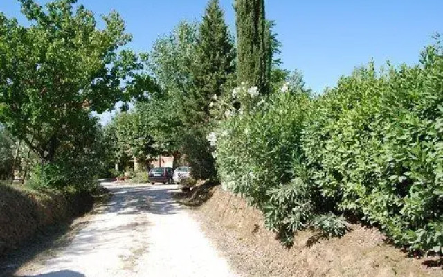 Tenuta il Pino