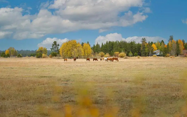 Wallowa 2