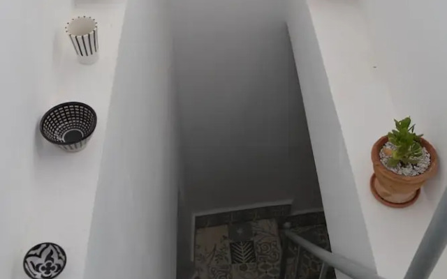 Riad Zarka