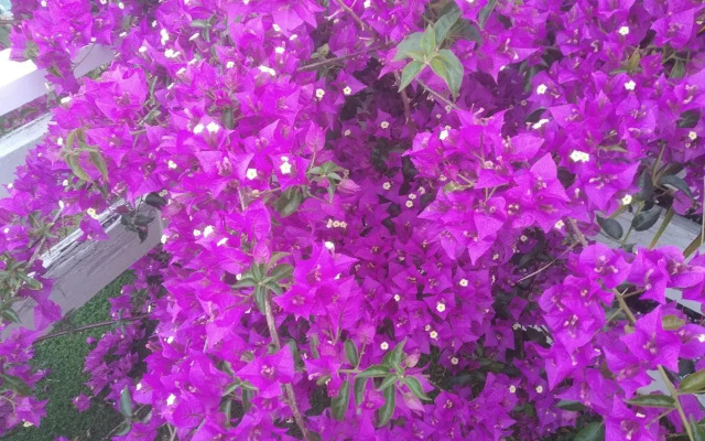 Apartamento con terraza y vistas al mar