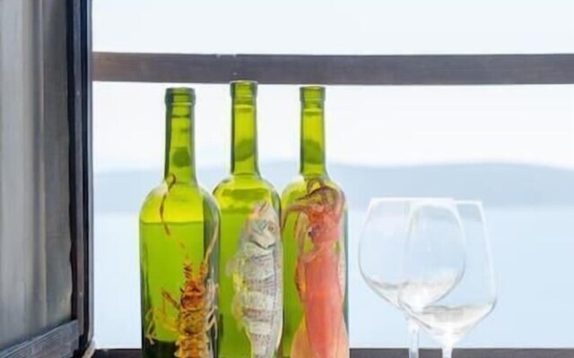 Luxury Apartment Ladovina