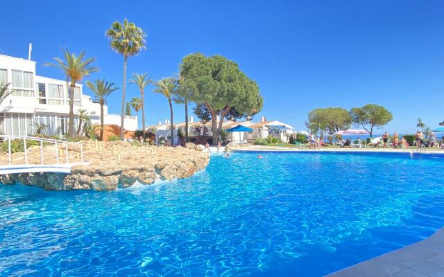 Hibiscus 7 San Juan de Capistrano