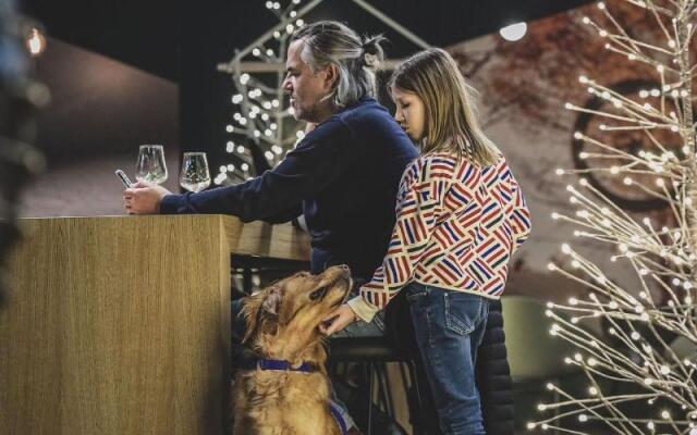 AVES Hotel & Apartment Arosa